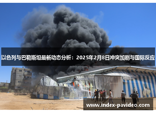 以色列与巴勒斯坦最新动态分析：2025年2月8日冲突加剧与国际反应