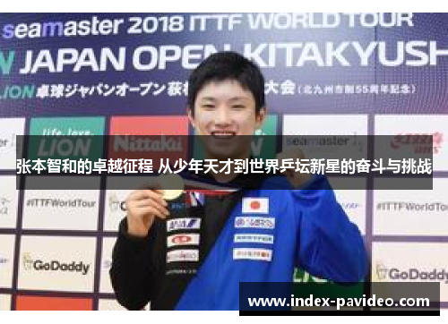 张本智和的卓越征程 从少年天才到世界乒坛新星的奋斗与挑战