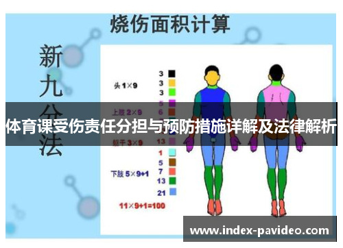 体育课受伤责任分担与预防措施详解及法律解析