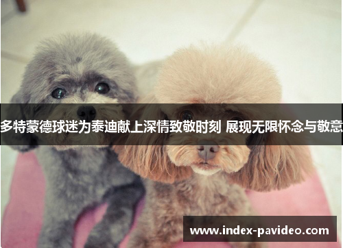 多特蒙德球迷为泰迪献上深情致敬时刻 展现无限怀念与敬意