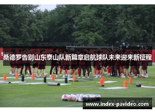 桑德罗告别山东泰山队新篇章启航球队未来迎来新征程