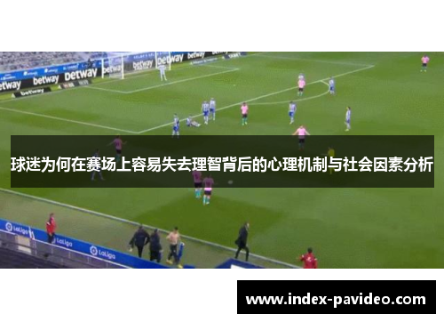 球迷为何在赛场上容易失去理智背后的心理机制与社会因素分析