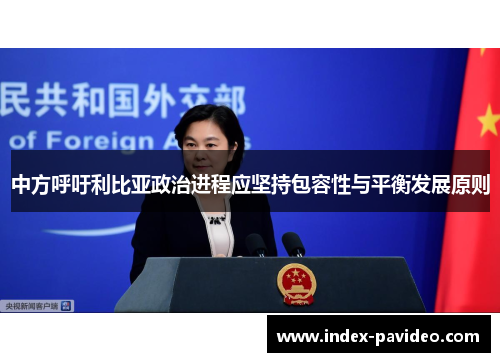 中方呼吁利比亚政治进程应坚持包容性与平衡发展原则