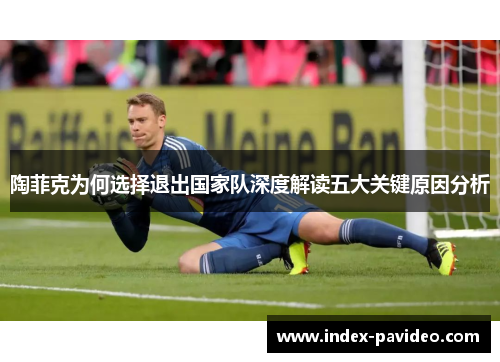 陶菲克为何选择退出国家队深度解读五大关键原因分析