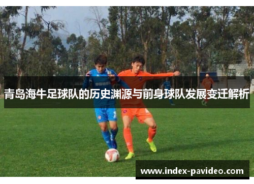 青岛海牛足球队的历史渊源与前身球队发展变迁解析