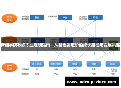 青训学院教练职业规划指南：从基础到进阶的成长路径与发展策略