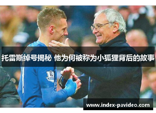 托雷斯绰号揭秘 他为何被称为小狐狸背后的故事