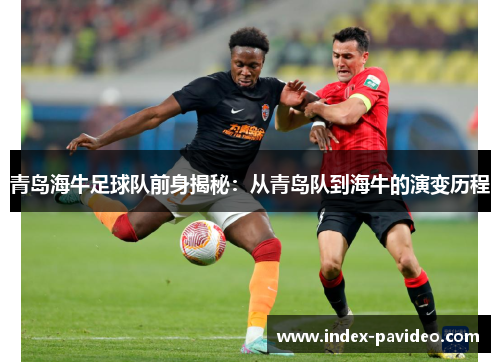 青岛海牛足球队前身揭秘：从青岛队到海牛的演变历程