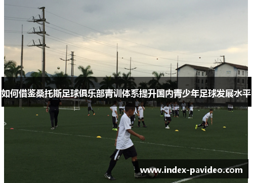 如何借鉴桑托斯足球俱乐部青训体系提升国内青少年足球发展水平 如何借鉴桑托斯足球俱乐部青训体系提升国内青少年足球发展水平